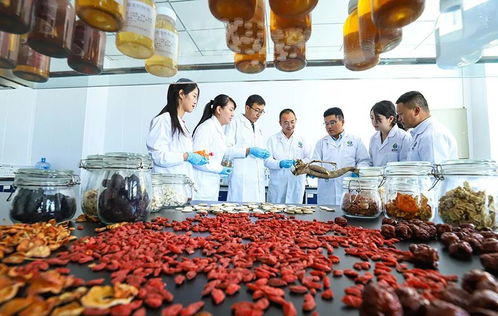 科技賦能，張掖植物工廠助力農(nóng)特產(chǎn)品提質(zhì)增效